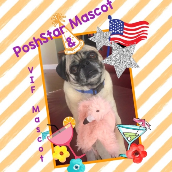 🦩Queens NY for Funday Sunday!😁LIKE NEW LISTING! - Picture 3 of 6